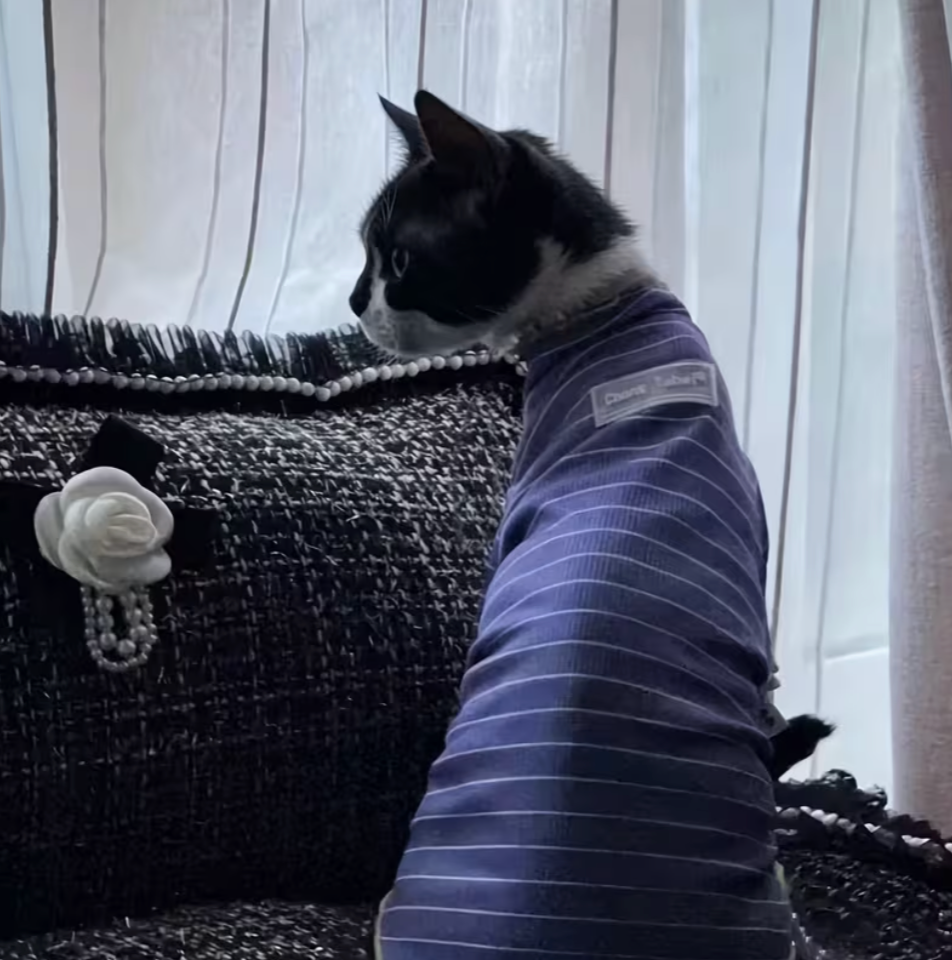 Purrline