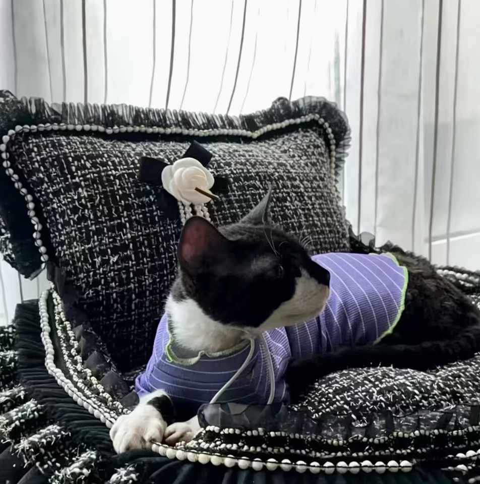 Purrline